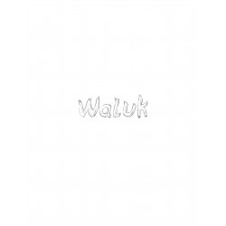WALUK - TOME 2 - LA ROUTE DU GRAND CHIEN