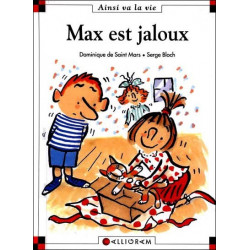 N°28 MAX EST JALOUX