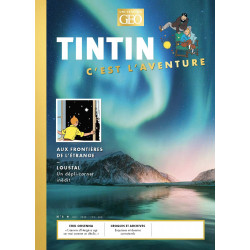 TINTIN - C'EST L'AVENTURE 6...
