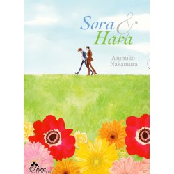SORA & HARA - LIVRE (MANGA)...