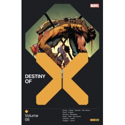 DESTINY OF X T06
