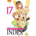 A CERTAIN MAGICAL INDEX - TOME 17