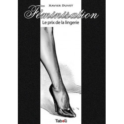 FéMINISATION - 1 - LE PRIX DE LA LINGERIE