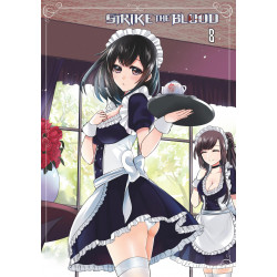 STRIKE THE BLOOD - TOME 8