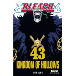 BLEACH - 43 - KINGDOM OF HOLLOWS
