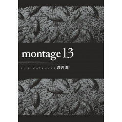 MONTAGE - TOME 13