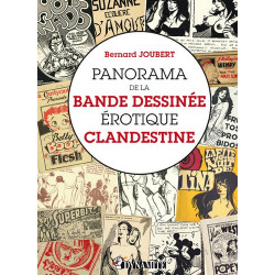 PANORAMA DE LA BANDE DESSINÉE ÉROTIQUE CLANDESTINE