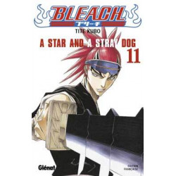 BLEACH - 11 - A STAR AND A STRAY DOG