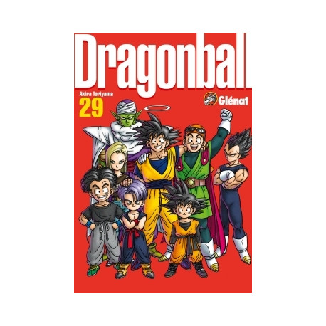 DRAGONBALL (PERFECT EDITION) - TOME 29