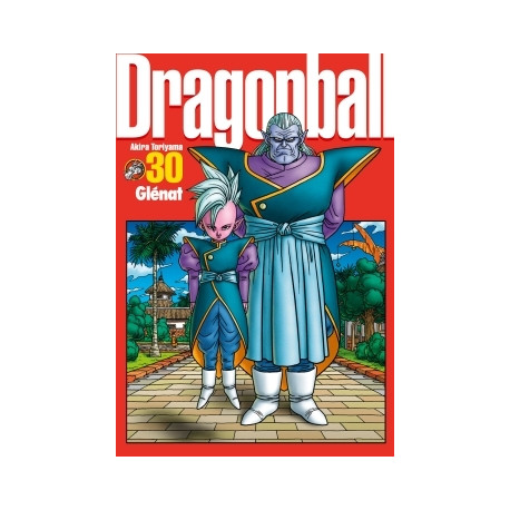 DRAGONBALL (PERFECT EDITION) - TOME 30