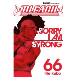 BLEACH - 66 - SORRY I AM STRONG