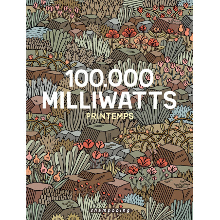 100.000 MILLIWATTS - 1 - PRINTEMPS