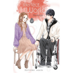 PERFECT WORLD - TOME 10